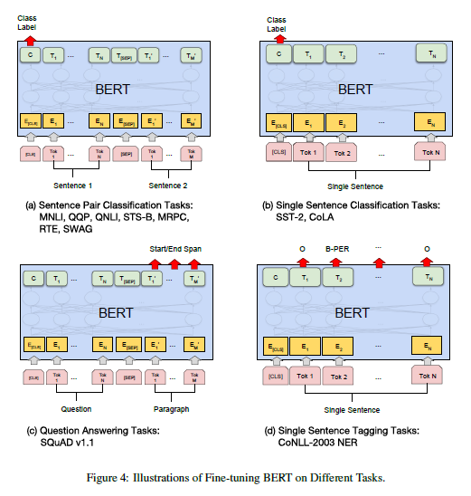 bert_fine_tuning